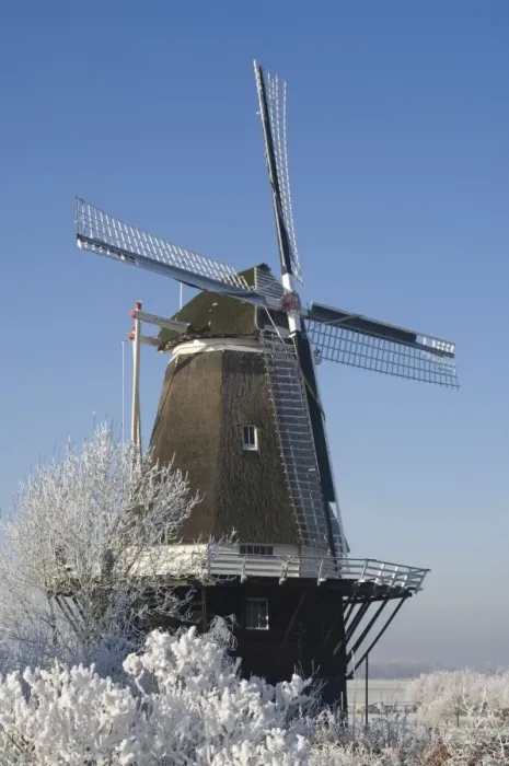 Framed Print : Tower mill and flourmill De Vlijt Rime The Netherlands, Gelderland, Marle Framed Print : Tower mill and flourmill De Vlijt Rime The Netherlands, Gelderland, Marle