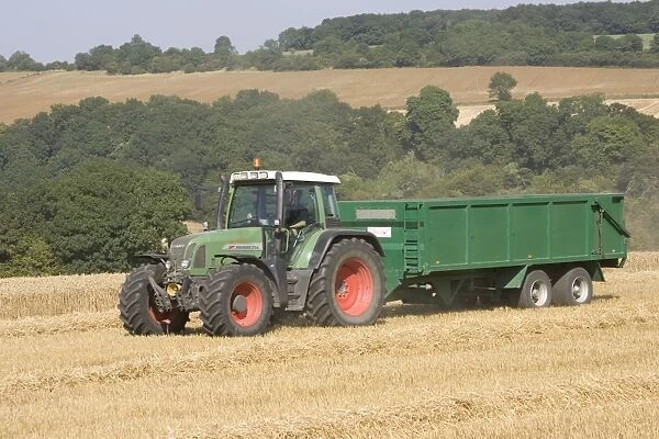 Tractor hauling wheat from combine harvester, Cotswolds near Winchcombe, UK