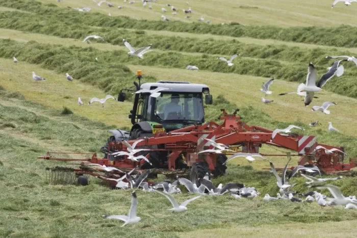Framed Print : Tractor raking grass for silage harvesting - Orkney Mainland LA005334 Framed Print : Tractor raking grass for silage harvesting - Orkney Mainland LA005334