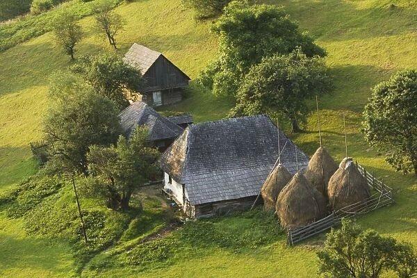 Traditional old farm in the Piatra Craiulu Mountains, surrounded by flowery pastures. Romania