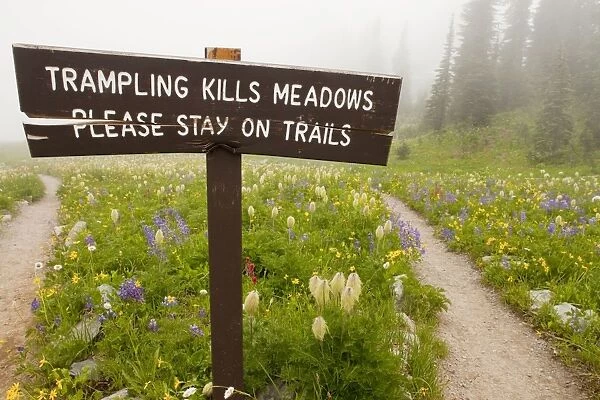 No trampling sign among alpine wildflowers around Tipsoo Lake, Chinook Pass, in the mist, Mount Rainier National Park, Washington, USA, North America