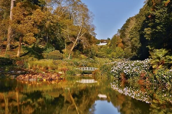 Trebah Garden - Autumn - Cornwall, UK