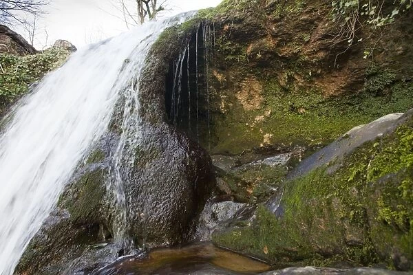 Tufa curtain behind waterfall at Janet's Foss, near Malham, Yorkshire Dales National Park, North Yorkshire