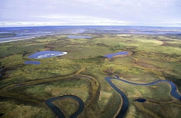 Tundra - lakes and rivers - an aerial view from a helicopter. A smaller river has an old river-bed, on foreground. A typical landscape near Kara sea, Taimyr peninsula, North of Siberia, Russian Arctic, summer. Di33. 2089