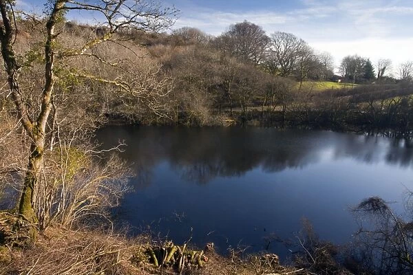 Turlough - in Carmel National Nature Reserve - in february; the only turlough in mainland Britain - Carmarthenshire - Wales