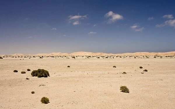 Typical view over the gravel plains toward the dunes - including some desert vegetation - Dune Fields - Namib Desert - Namibia - Africa