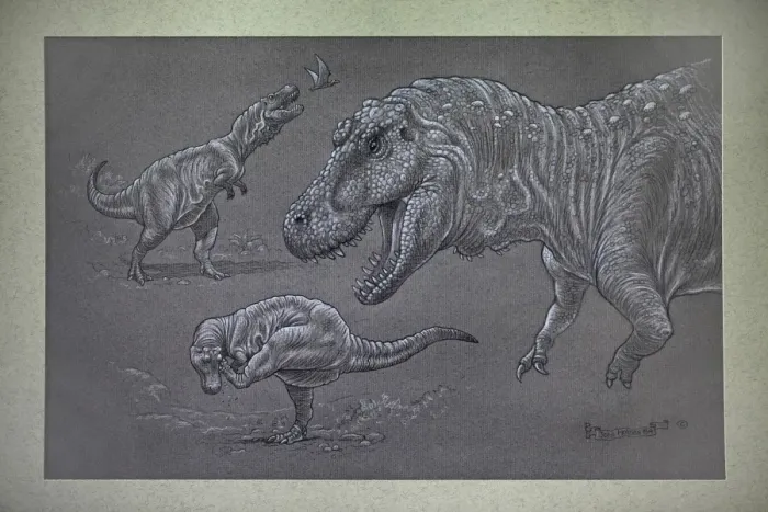 Framed Print : Tyrannosaurus Rex - sketches Framed Print : Tyrannosaurus Rex - sketches