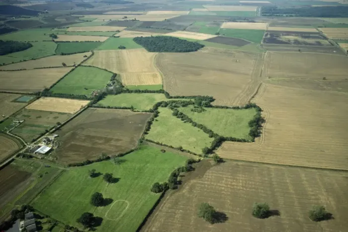 Framed Print : UK - aerial view Upwood Meadows National Nature Reserve, Cambridgeshire