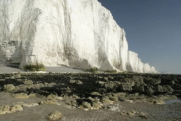 UK - chalk cliffs coastline with white cliffs. Seven Sisters Country Park, East Sussex, England, UK