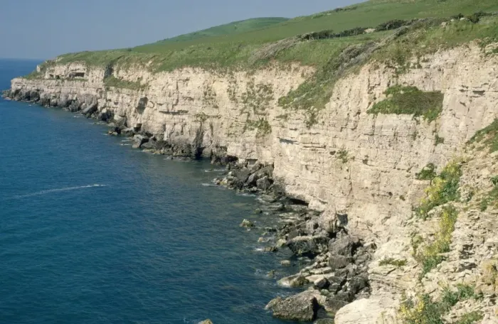 Framed Print : UK - limestone cliffs with seabird colonies. Seacombe Dorset Framed Print : UK - limestone cliffs with seabird colonies. Seacombe Dorset
