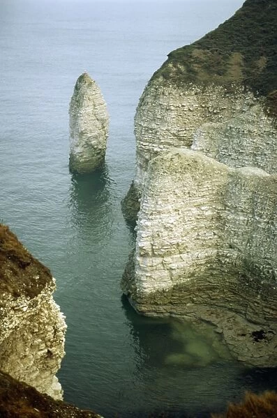 UK SG 3073 Chalk cliffs Flamborough Head, Yorkshire. © ARDEA LONDON