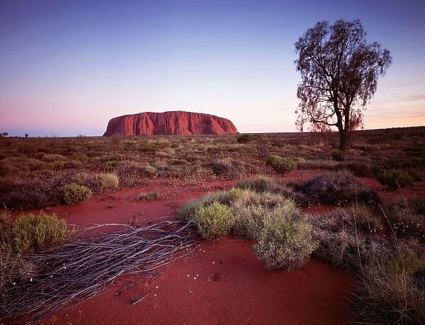 Uluru  /  Ayers Rock - at sunset, Uluru-Kata Tjuta National Park (World Heritage Area), Northern Territory, Australia JLR04814