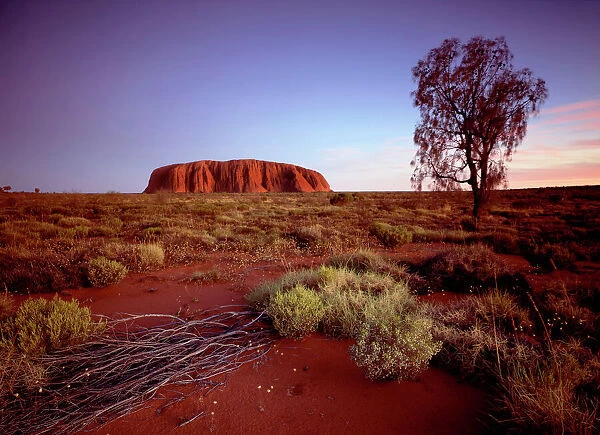 Uluru  /  Ayers Rock - at sunset - Uluru-Kata Tjuta National Park (World Heritage Area) Northern Territory Australia JLR04815