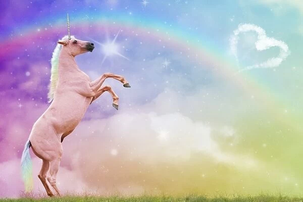 Unicorn rearing with fantasy rainbow clouds and heart