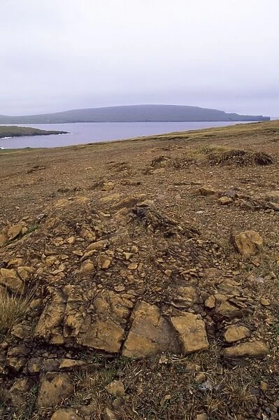 Unst - Shetland Islands - Keen of Hammar National Nature Reserve. The Reserve is made up of Serpentine debris