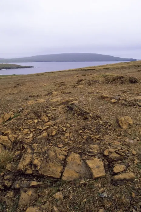 Framed Print : Unst - Shetland Islands - Keen of Hammar National Nature Reserve. The Reserve is made up of Serpentine debris Framed Print : Unst - Shetland Islands - Keen of Hammar National Nature Reserve. The Reserve is made up of Serpentine debris