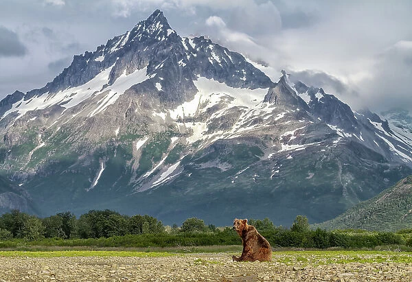 USA, Alaska. A bear poses next to a scenic stream with high mountains behind. Date: 29-07-2011
