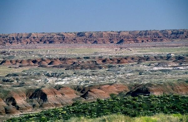 USA - Arizona - Blue Mesa Petrified Forest National Park - Painted Desert showing gully erosion
