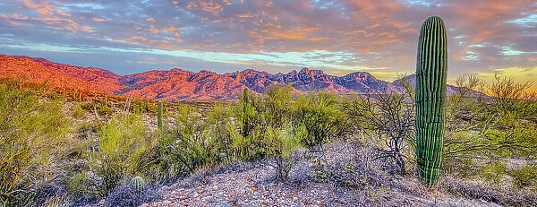 USA, Arizona, Catalina. Panoramic of sunset on desert and Catalina Mountains. Date: 18-03-2021