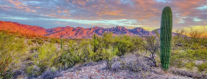 Framed Print : USA, Arizona, Catalina. Panoramic of sunset on desert and Catalina Mountains. Date: 18-03-2021 Framed Print : USA, Arizona, Catalina. Panoramic of sunset on desert and Catalina Mountains. Date: 18-03-2021