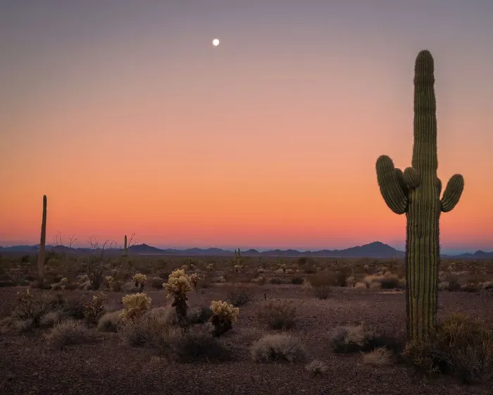 Framed Print : USA, Arizona, Kofa National Wildlife Area. Mountain and desert landscape at sunset. Date: 01-02-2021 Framed Print : USA, Arizona, Kofa National Wildlife Area. Mountain and desert landscape at sunset. Date: 01-02-2021