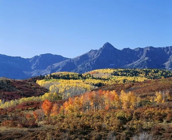 USA Autumn colours in the Rocky Mountains, Colorado