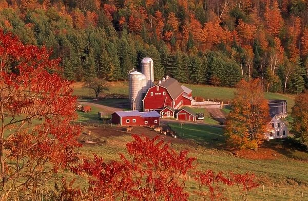 USA - autumn farm scene Northern Vermont, USA