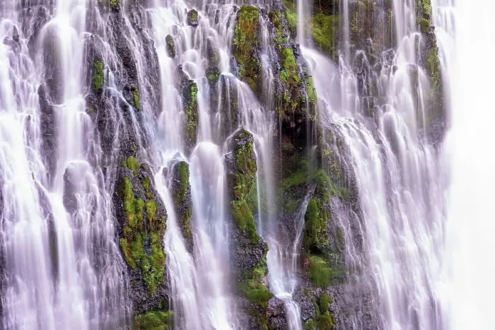 Framed Print : USA, California, McArthur-Burney Falls State Park. Burney Creek waterfall and ferns. Date: 07-04-2021 Framed Print : USA, California, McArthur-Burney Falls State Park. Burney Creek waterfall and ferns. Date: 07-04-2021