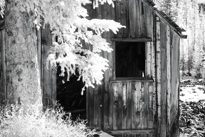 Framed Print : USA, Colorado, Old Mining Shack Date: 29-09-2006 Framed Print : USA, Colorado, Old Mining Shack Date: 29-09-2006