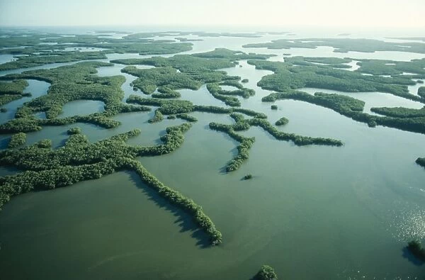 USA - Everglades National Park, the Ten Thousand Islands. Florida
