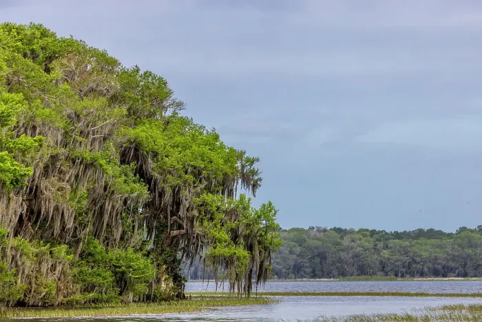 Framed Print : Usa, Florida. Cypress trees around Lochloosa Lake Date: 23-03-2021 Framed Print : Usa, Florida. Cypress trees around Lochloosa Lake Date: 23-03-2021