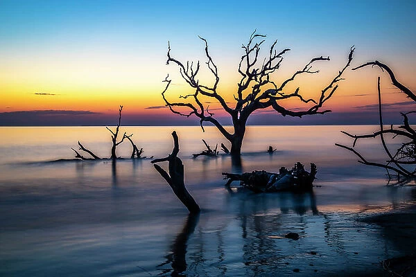USA, Georgia, Jekyll Island, Sunrise on Driftwood Beach of petrified trees Date: 26-02-2021