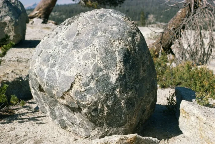 Framed Print : USA Glacial erratic boulder of Conglomerate, Yosemite National Park Framed Print : USA Glacial erratic boulder of Conglomerate, Yosemite National Park