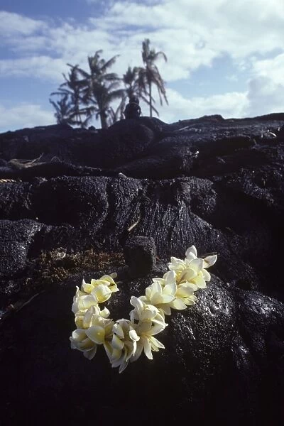 USA - Hawaii - Big Island - Eruption of the Pu'u O'o Vent - a vent of the Kilauea Volcano - Lava flow - south shore of the Big Island of Hawaii - Offering to Pele - the Hawaiian goddess of fire and volcanoes
