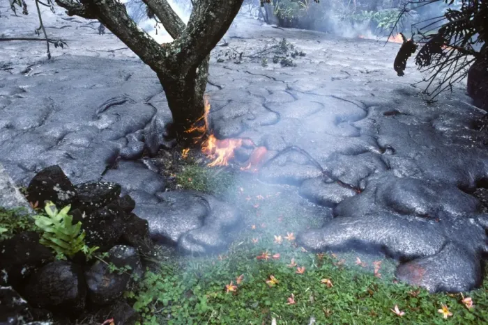 Framed Print : USA - Hawaii - Big Island - Eruption of the Pu'u O'o Vent - a vent of the Kilauea Volcano - Advancing lava flow in a garden in the village of Kalapana Gardens on south shore of the island Framed Print : USA - Hawaii - Big Island - Eruption of the Pu'u O'o Vent - a vent of the Kilauea Volcano - Advancing lava flow in a garden in the village of Kalapana Gardens on south shore of the island