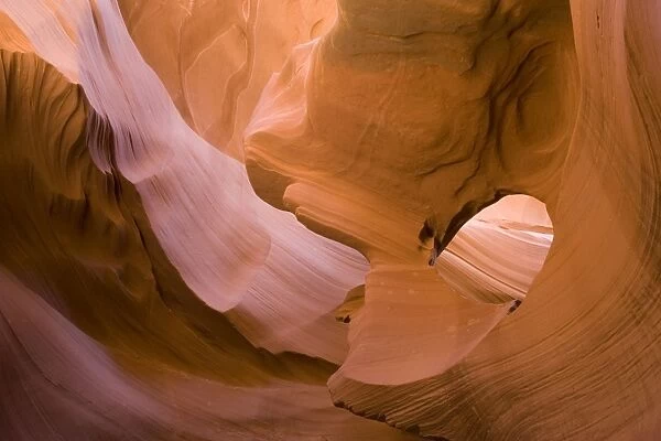 USA - Light that penetrates into the narrow canyon walls creates beautiful hues on the graceful curves of sandstone rock in the Lower Antelope Canyon, probably the most famous 'slot canyon' in the Southwest. Antelope Canyon