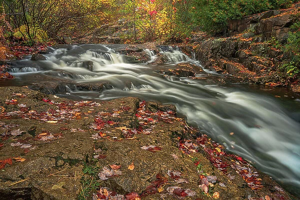 USA, Maine, Acadia National Park. Stream rapids in forest. Date: 17-10-2021