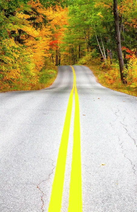 Framed Print : USA, Maine, Highway 113 lined by Maple and Birch trees in full Autumn color Date: 03-10-2013