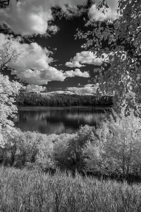 Framed Print : USA, Minnesota, La Salle State Recreation area Date: 29-08-2020 Framed Print : USA, Minnesota, La Salle State Recreation area Date: 29-08-2020