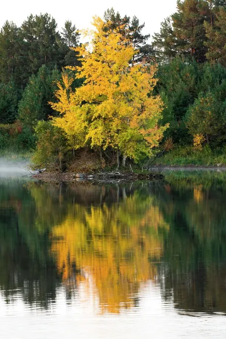 Framed Print : USA, Minnsota, Duluth, Fall Color Date: 23-09-2020 Framed Print : USA, Minnsota, Duluth, Fall Color Date: 23-09-2020