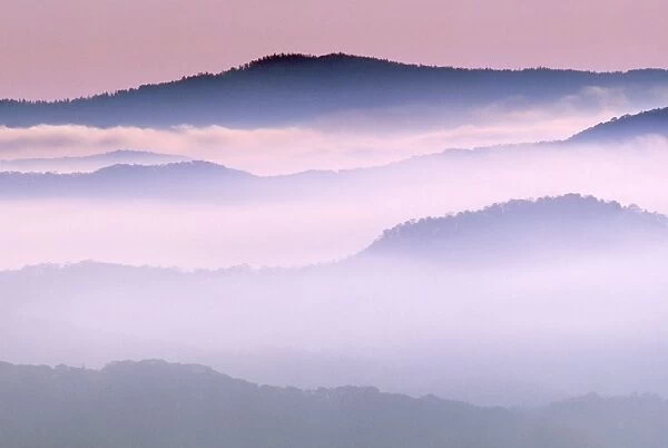 USA - mist & dawn clouds covering mountain ridges. Valley of Newfound Gap road, Great Smoky National Park