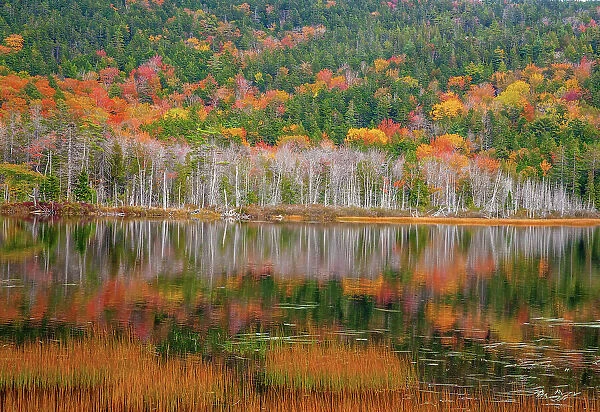 USA, New England, Maine, Mt. Desert Island, Acadia National Park with small lake with hillsides in Autumns color reflected Date: 11-10-2013