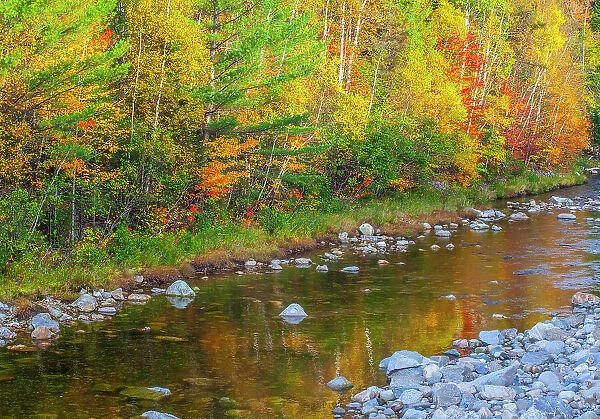 USA, New England, Maine, Wild River, reflections of Autumn colors in small river Date: 04-10-2013