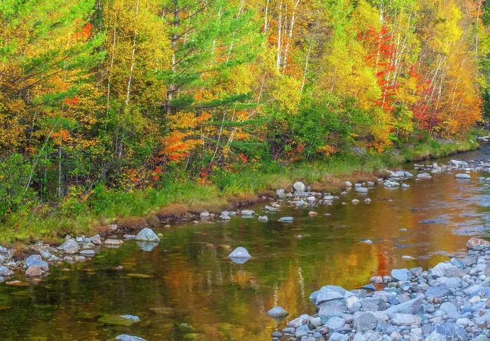 Framed Print : USA, New England, Maine, Wild River, reflections of Autumn colors in small river Date: 04-10-2013 Framed Print : USA, New England, Maine, Wild River, reflections of Autumn colors in small river Date: 04-10-2013