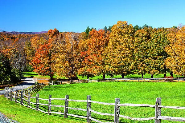 USA, New England, Vermont countryside with curved gravel road fence in Autumn Date: 08-10-2013