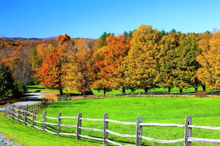 Framed Print : USA, New England, Vermont countryside with curved gravel road fence in Autumn Date: 08-10-2013 Framed Print : USA, New England, Vermont countryside with curved gravel road fence in Autumn Date: 08-10-2013