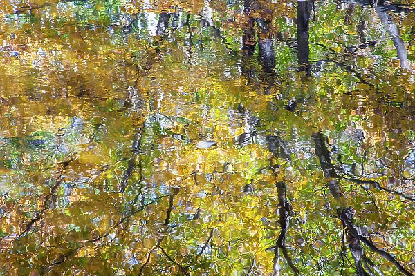 USA, New Hampshire, Gorham Autumn colors reflected in small pond Date: 03-10-2013