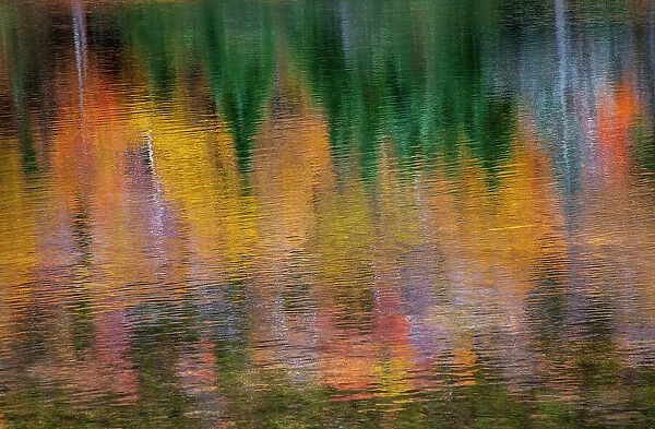 USA, New Hampshire, New England Fall colors reflected in the waters of the Saco River Crawford Notch State Park Date: 04-10-2013