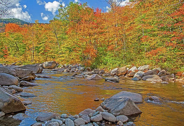 USA, New Hampshire, White Mountains National Forest and Swift River along Highway 112 in Autumn from the Hardwood Maple Trees Date: 02-10-2013