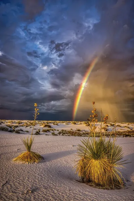 Framed Print : USA, New Mexico, White Sands National Park. Thunderstorm rainbow over desert. Date: 28-09-2021 Framed Print : USA, New Mexico, White Sands National Park. Thunderstorm rainbow over desert. Date: 28-09-2021